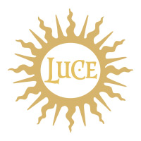 回收麓鹊酒庄Tenuta Luce红酒