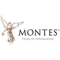 回收蒙特斯酒庄Montes Wines红酒